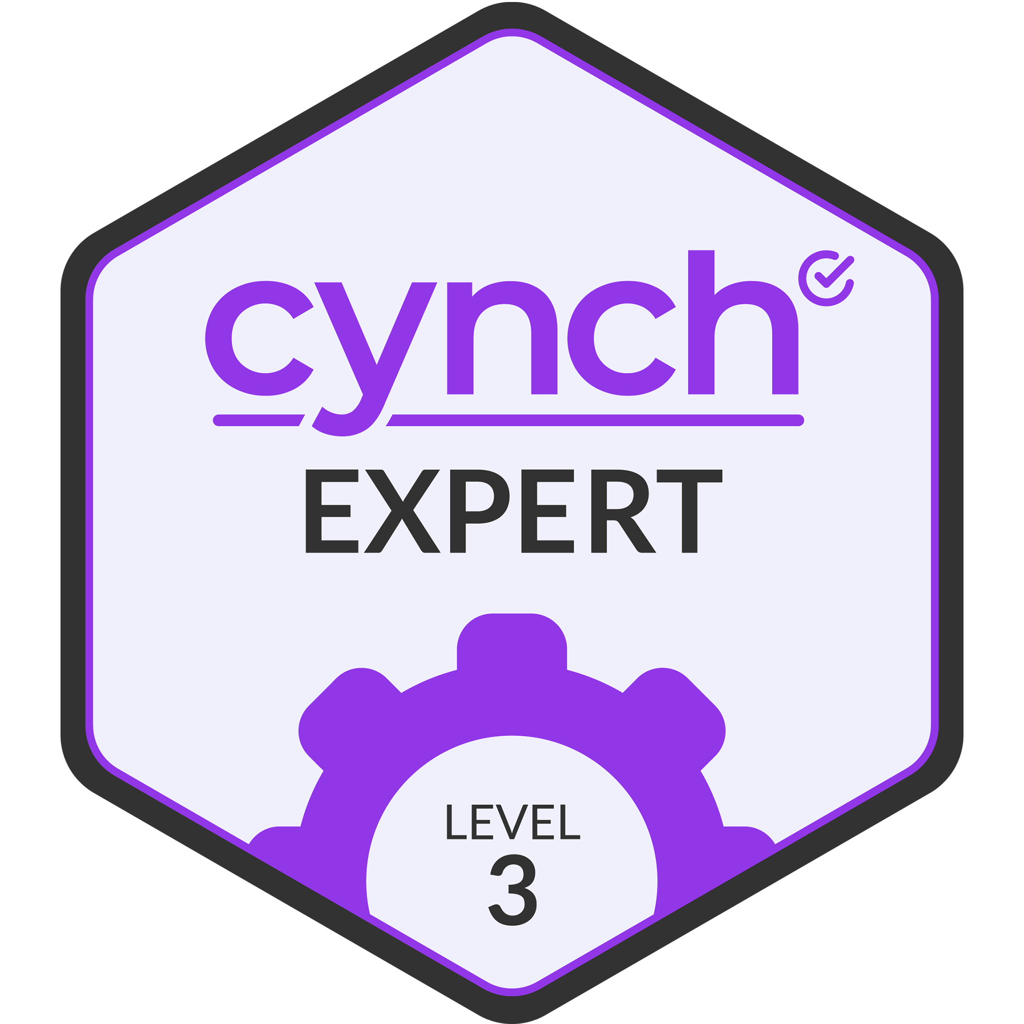 Cynch Expert